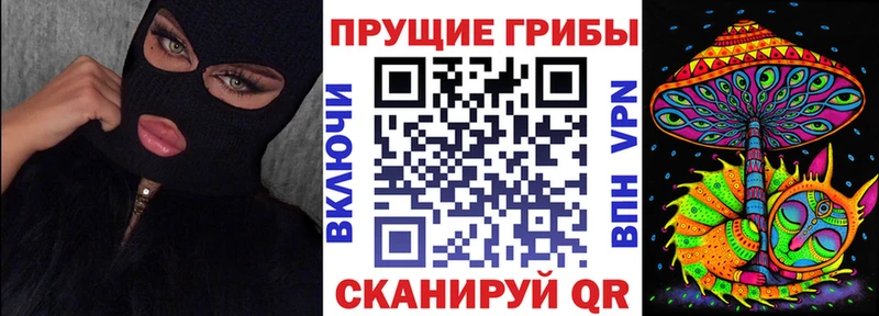Галлюциногенные грибы Psilocybe  Вятские Поляны 