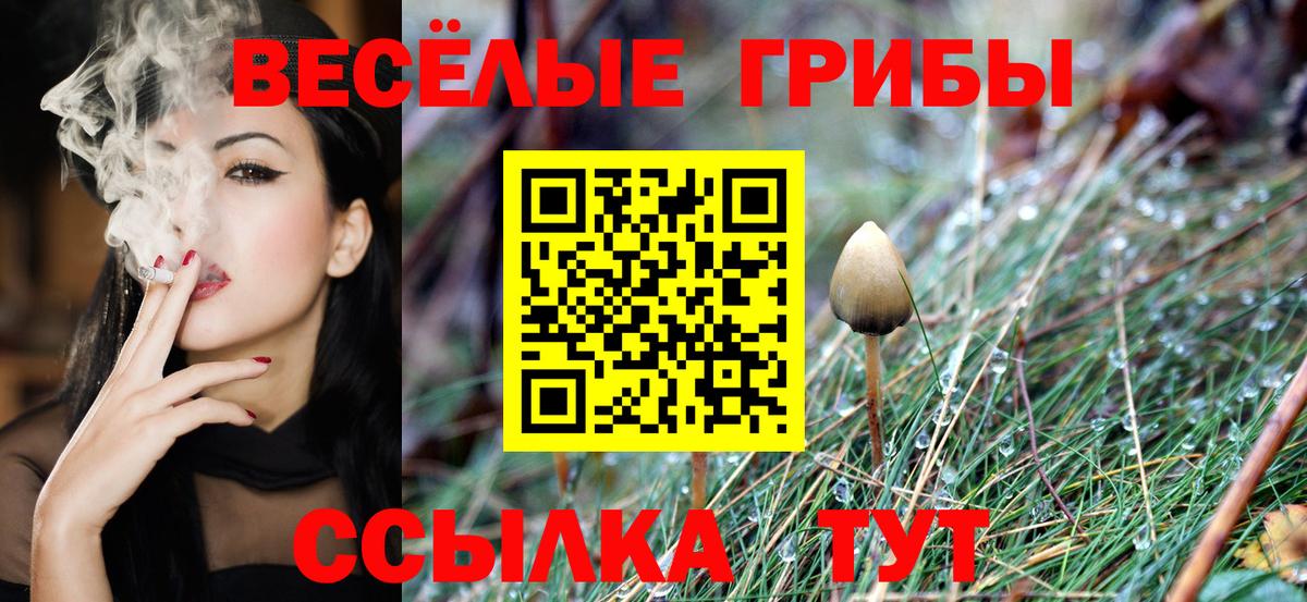 Вятские Поляны  Псилоцибиновые грибы Psilocybe  Галлюциногенные грибы Cubensis  Вход с VPN 